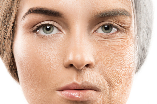 The Importance of Collagen