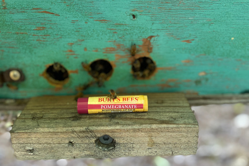 Burt’s Bees Bring Back The Bees Campaign